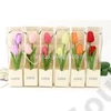 Kép 2/2 - SZAPPANTULIPÁN DOBOZBAN 6/162 7x7x26 cm 3 SZÍNBEN