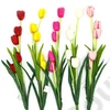 Kép 1/2 - TULIPÁN SELYEM 5 FEJ 100/800 5 SZÍNBEN FEJ:5x3 cm; SZÁR:70 cm