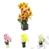 Kép 3/3 - ORCHIDEA KASPÓBAN 1/12 43 cm 4 SZÍNBEN