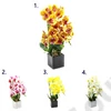 Kép 1/3 - ORCHIDEA KASPÓBAN 1/12 43 cm 4 SZÍNBEN