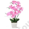 Kép 2/2 - ORCHIDEA KASPÓBAN 1/12 39 cm 6 SZÍNBEN