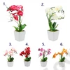 Kép 1/2 - ORCHIDEA KASPÓBAN 1/12 39 cm 6 SZÍNBEN