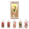 Kép 1/2 - SZAPPANTULIPÁN CSOKOR 5/70 27x14 cm 6 SZÍNBEN