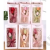 Kép 2/2 - SZAPPANTULIPÁN CSOKOR 5/70 27x14 cm 6 SZÍNBEN
