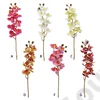 Kép 1/2 - ORCHIDEA GUMI 8 FEJŰ 48/288 75 cm 6 SZÍNBEN