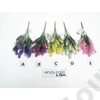 Kép 2/2 - LEVENDULA CSOKOR 200/800 33 cm 