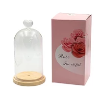 ÜVEGBÚRA+FATALP 1/60 9x15 cm