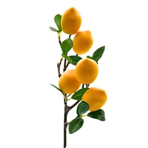 CITROMFA ÁG 1/360 60 cm CITROMFA ÁG 1/360 60 cm