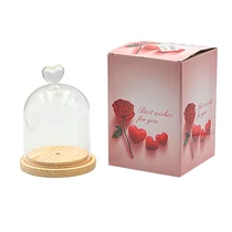 ÜVEGBÚRA+FATALP 1/60 10x12 cm 