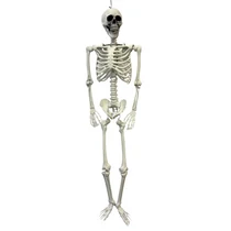 CSONTVÁZ 1/4 1,65 MÉTER