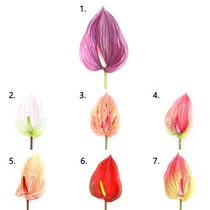 GUMIVIRÁG FLAMINGÓ 12/144 SZÁR: 67,5 cm; FEJ: 14x20 cm 7 SZÍNBEN