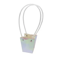 VIRÁGTASAK 10/250 6,5x9x10 cm IRIZÁLÓ