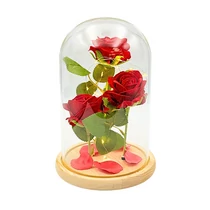 BÁRSONY RÓZSÁK ÜVEGBÚRÁBAN 1/8 17x26 cm LEDES