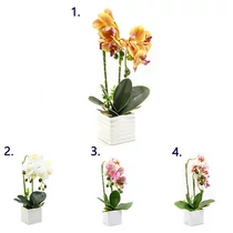 ORCHIDEA KASPÓBAN LED VILÁGÍTÁSSAL 1/24 36 cm 4 SZÍNBEN