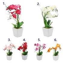 ORCHIDEA KASPÓBAN 1/12 39 cm 6 SZÍNBEN