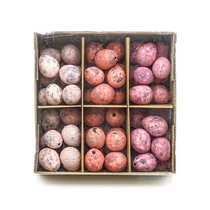 TOJÁS FÜRJ 60 db 1/60 3 cm 3 SZÍNBEN