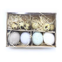 TOJÁS TYÚK, FÜRJ 10 DB 1/60 5,5 cm; 3 cm 