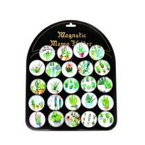 ÜVEGMÁGNES 24/144/576 KAKTUSZOS 4x4 cm