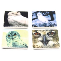 MÁGNES BAGOLY 12/360 4 FÉLE 4,5X4,5 CM