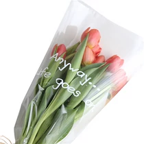 CELOFÁN 20 DB 60x60CM 1/100 FELIRATOS 4 FÉLE CELOFÁN 20 DB 60x60CM 1/100 FELIRATOS 4 FÉLE