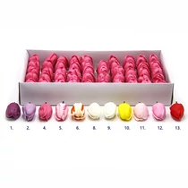 SZAPPANTULIPÁNFEJ 50 DB 1/20 11 SZÍNBEN