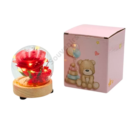 BÁRSONY RÓZSA ÜVEGBÚRÁBAN 1/120 8x10 cm