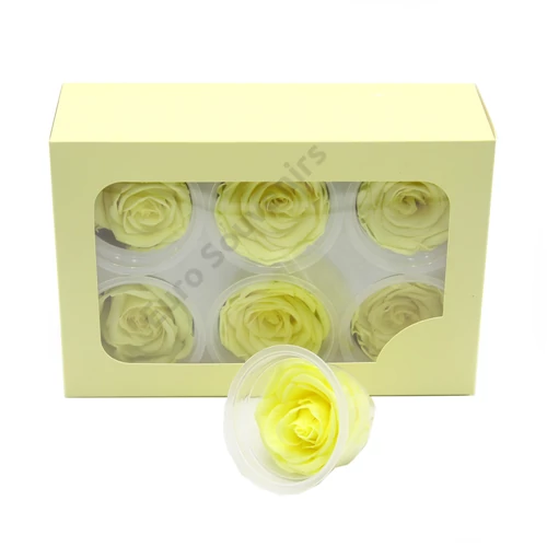 ÖRÖKRÓZSA 6 DB SÁRGA 5X6CM