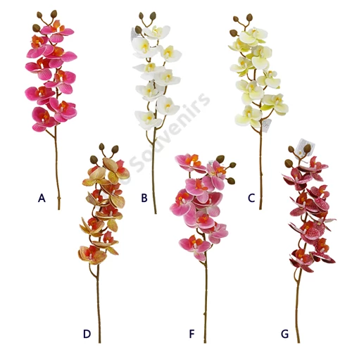 ORCHIDEA GUMI 8 FEJŰ 48/288 75 cm 6 SZÍNBEN