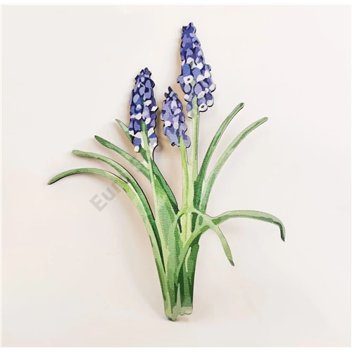 MUSCARI CSOKOR FÁBÓL 18 cm 