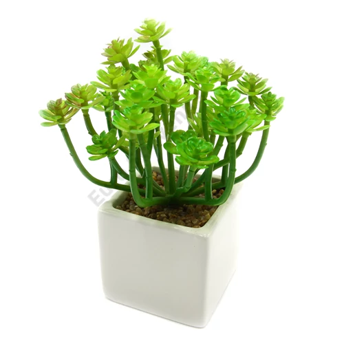 MŰKÖVIRÓZSA KASPÓBAN 9/108 16x6.5 cm.