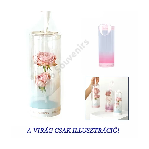 HENGER DOBOZ 10 DB 1/60 8x20 cm FEHÉR,RÓZSASZÍN