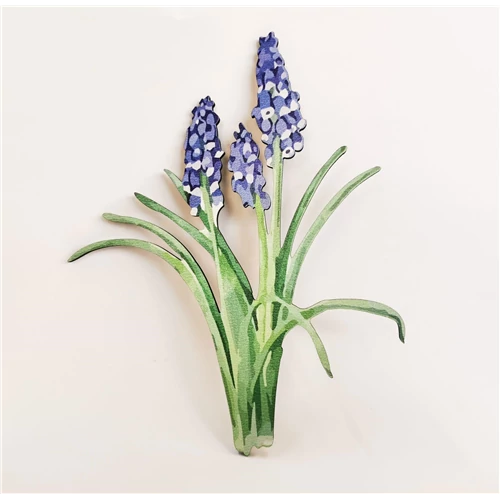 MUSCARI CSOKOR FÁBÓL 18 cm 