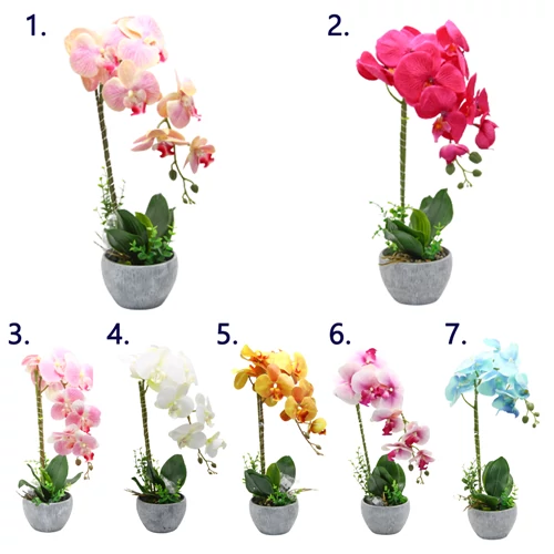 ORCHIDEA KASPÓBAN LED VLÁGÍTÁSSAL 1/16 45 cm 7 SZÍNBEN
